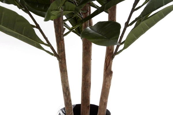 Gęsty sztuczny fikus Cyathistipula 120 cm deluxe