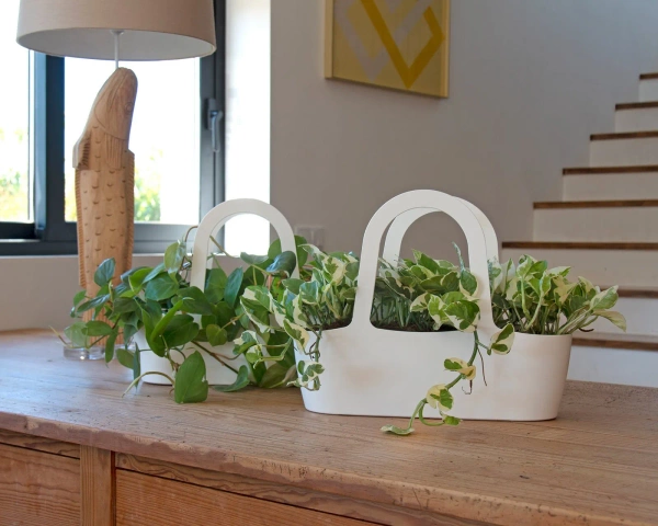 Paris 43 koszyk na rośliny musztardowy