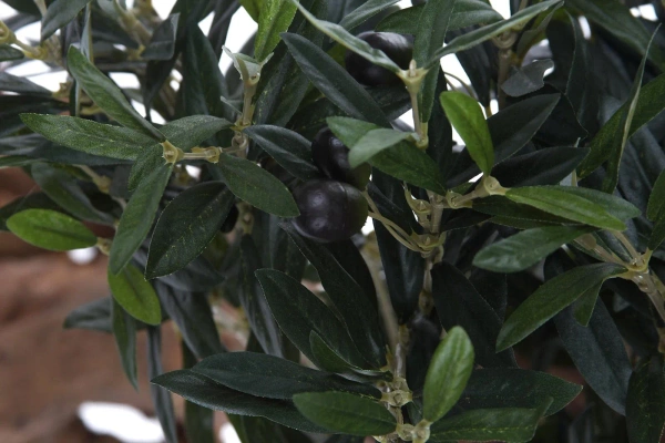 Sztuczna Oliwka Bonsai 150 cm deluxe