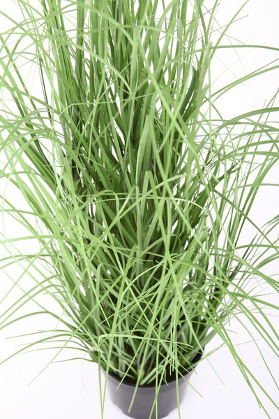 Sztuczna trawa w doniczce 75 cm jasnozielona