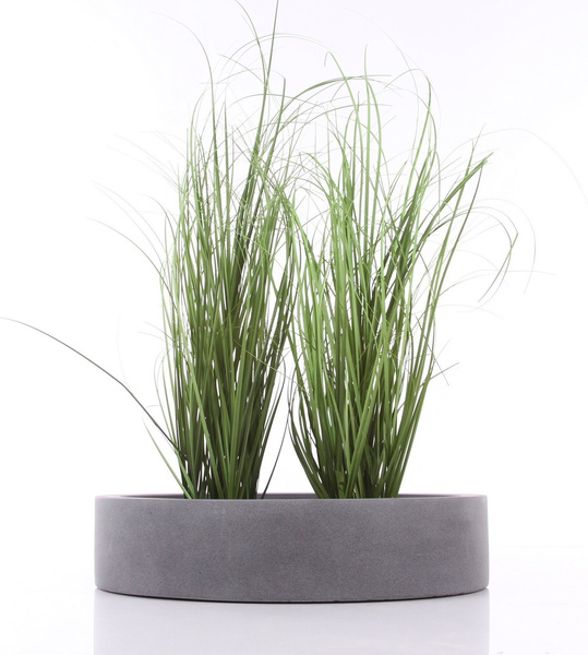 Max Low M 50/10 donica płaska kamienna szara