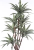 Sztuczna Dracena 150-160 cm 150 liści naturalny pień