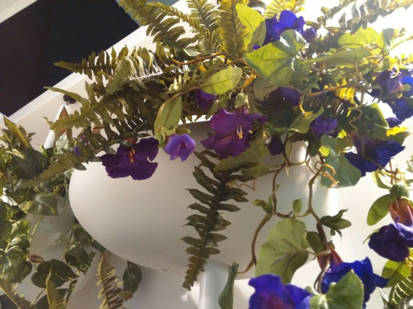 GREENPILLS kwietnik biały