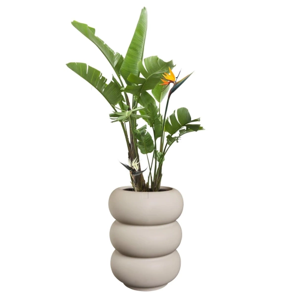 Amber Roll High 43/58 designerska donica wysoka beżowa