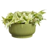 Vibes Fold Bowl 25 misa w paski zielona fern green