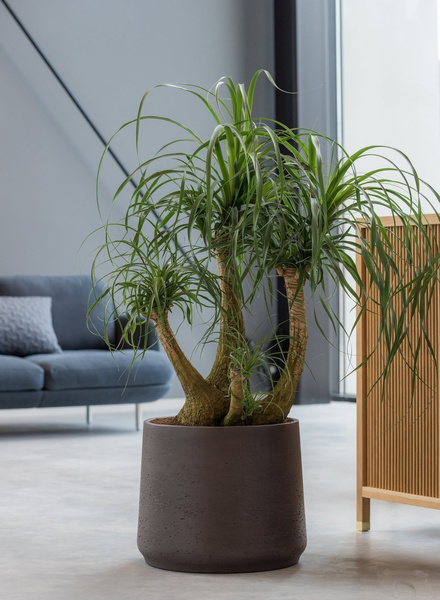 Patt XXL 34/28,5 okrągła donica kamienna czarna black washed