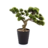 Sztuczne drzewko Bonsai Pinia Sosna 40x40 cm
