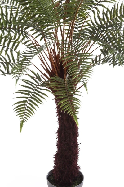 Sztuczna paproć Dicksonia 125 cm