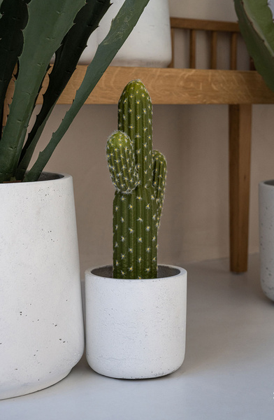 Sztuczny kaktus Saguaro Karnegia olbrzymia M 62 cm