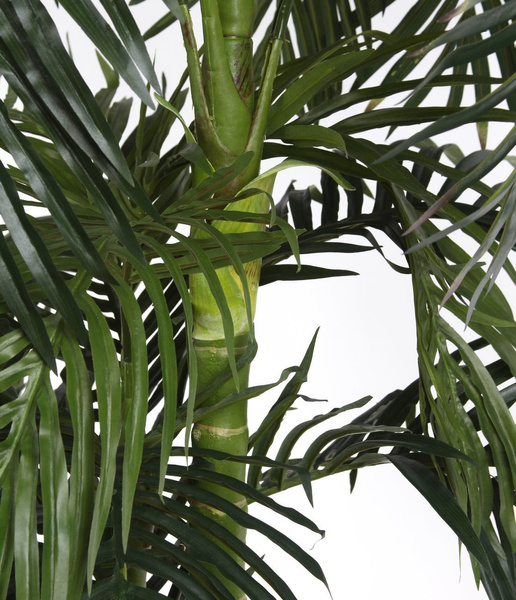 Sztuczna palma Areka 220 cm rozpiętość 130 cm