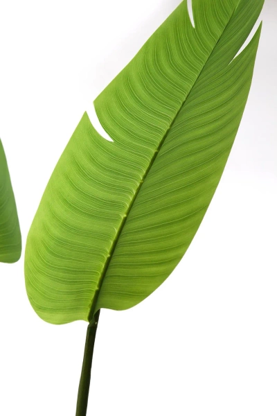 Sztuczna Strelicja nicolai wysoka 235 cm 18 liści