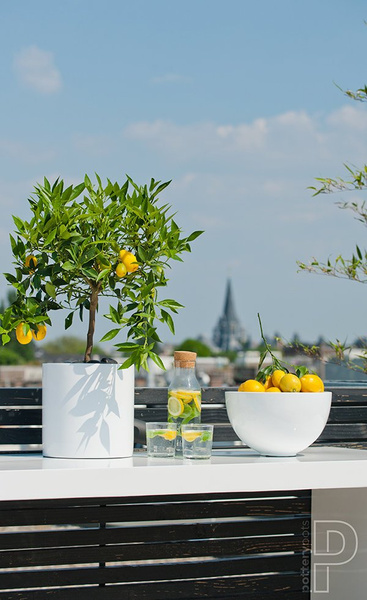 Puk M 20/20 doniczka cylindryczna biała matowa