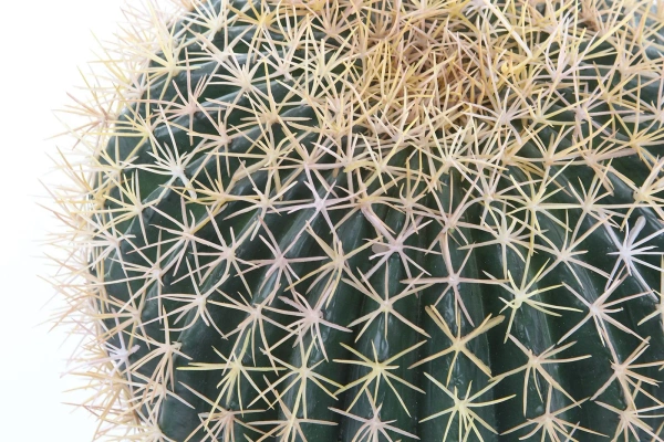 Sztuczny kaktus Barrel beczkowaty 46 cm