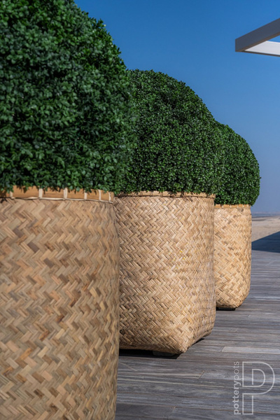 Zayn XS 44/42,5 naturalne doniczki z bambusa