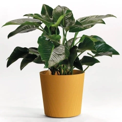 Fyre 40 donica ryflowana mango na kółkach