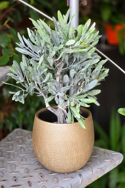 Porto 27/27 osłonka ceramiczna złota chropowata