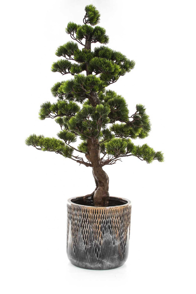 UNIVERSE COMET CYLINDER 28/27 cylindryczna doniczka brązowa