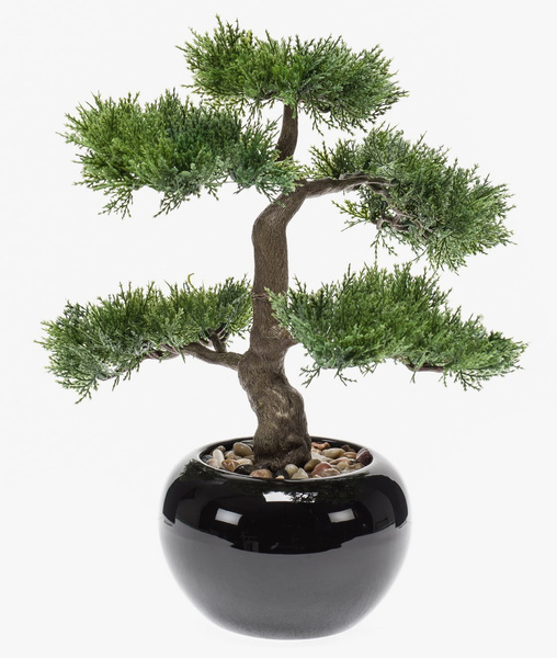 Sztuczne drzewko Bonsai Cedr 34 cm w czarnej ceramicznej doniczce