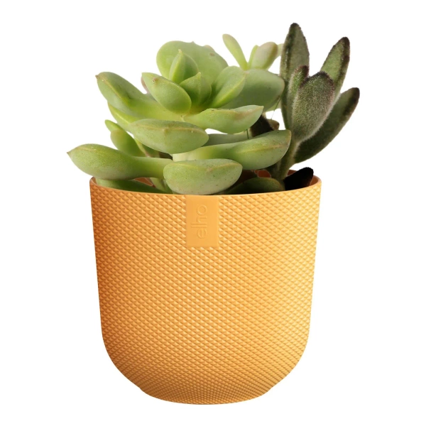 Jazz Elho 7 mini osłonka na kaktusy żółta amber yellow