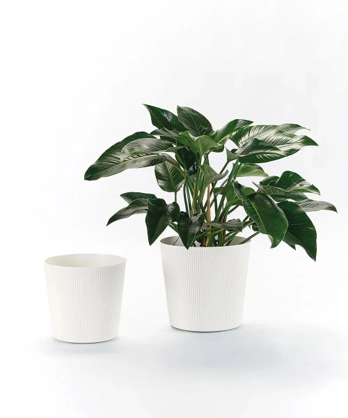 Fyre 35 biała donica ryflowana na kółkach