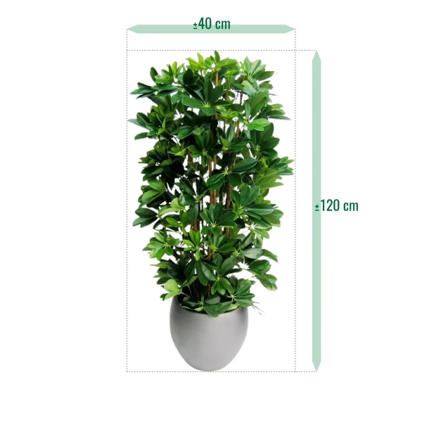 Sztuczna Schefflera gęsta na naturalnych pniach 120 cm deluxe
