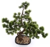 Sztuczny Bonsai Sosna Pinia 70 cm