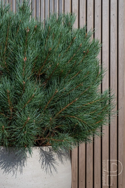 Mini Orb M 25/21 kulista osłonka kamienna beżowa beige washed