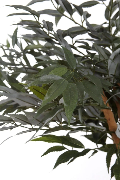 Sztuczny Bonsai Shirakashi 160 cm deluxe