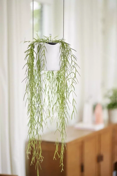 B. For Swing 18/16 Elho biała osłonka wisząca