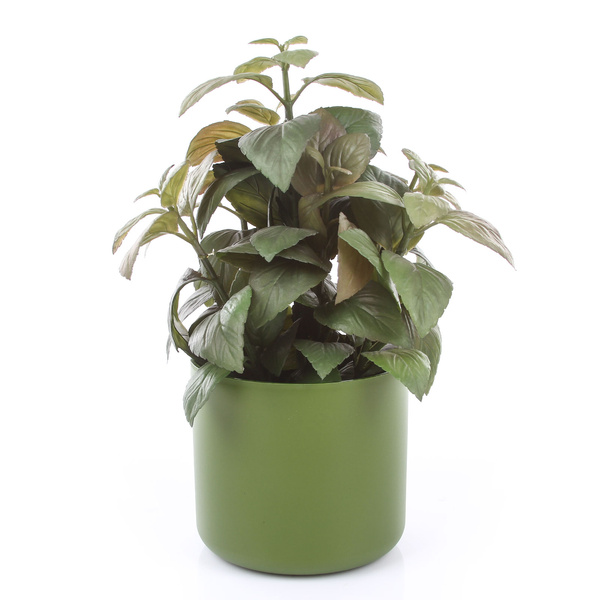 ONO 11/10 osłonka cylindryczna oliwkowa zielona