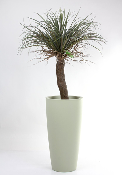 Sztuczna Juka Yucca wild 110 cm