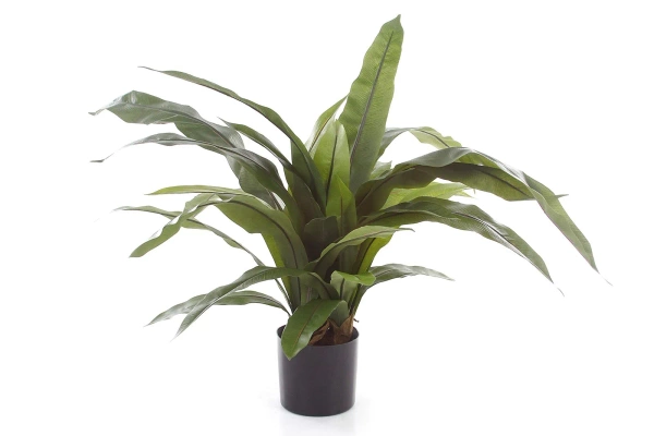 Sztuczne Asplenium paproć 80 cm 33 liście