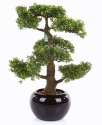 Sztuczne drzewko Bonsai Fikus mini 47 cm w czarnej ceramicznej doniczce