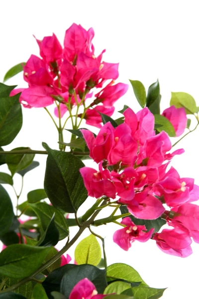 Sztuczna Bugenwilla z różowymi kwiatami 150 cm drewniany pień