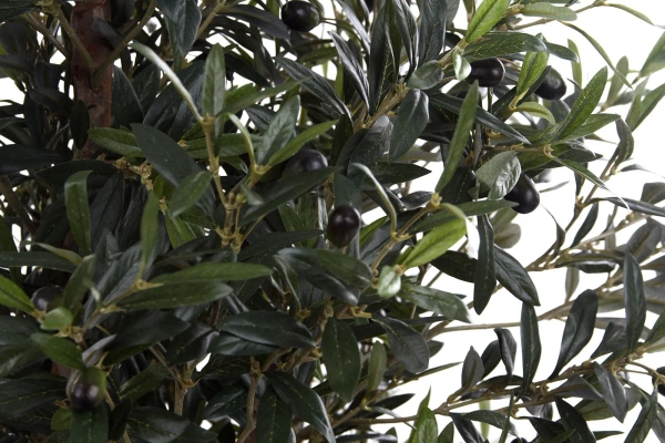 Sztuczna Oliwka 150 cm drewniany rozgałęziony pień