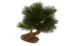 Sztuczny Bonsai Pinia mini 25 cm