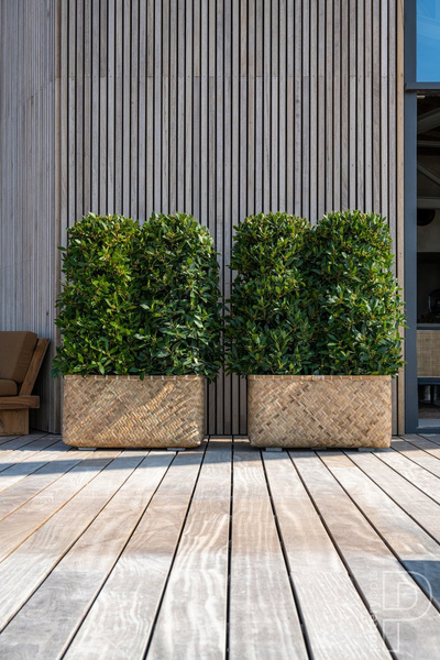 Rafi S 60x30/31 prostokątna osłonka bambusowa