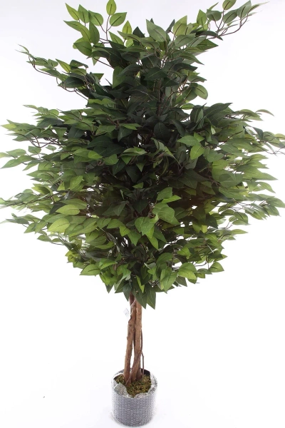 Sztuczny Fikus 150 cm naturalny drewniany pień