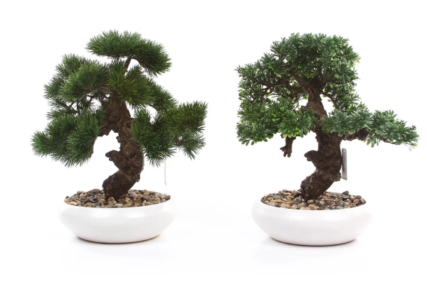 Sztuczne drzewko Bonsai Fikus mini 37 cm w białej doniczce
