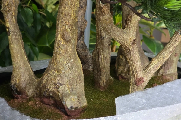 Sztuczny Bonsai Pinia Sosna w formie lasu 60 cm