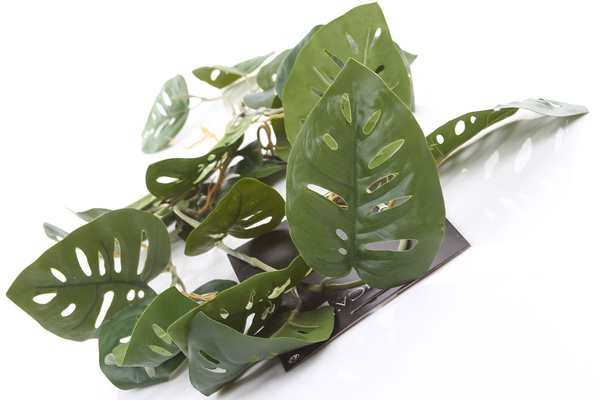 Sztuczna Monstera wisząca pnącze 115 cm