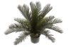 Sztuczny Cycas 60 cm deluxe UV