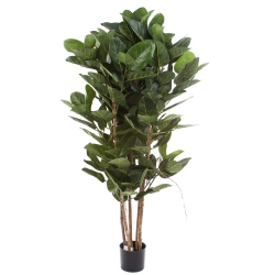 Sztuczny Fikus Audrey na drewnianych pniach 155 cm deluxe