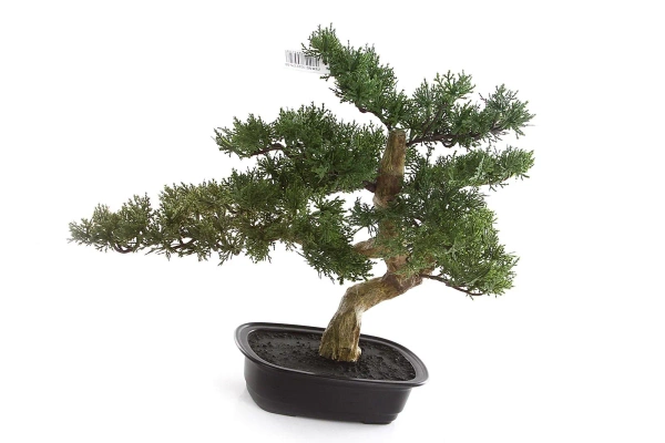 Sztuczny Bonsai Cedr 40x40 cm w doniczce