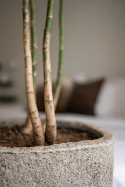 Mt.Cooper M 30/70 kamienna donica szarobrązowa dioryt