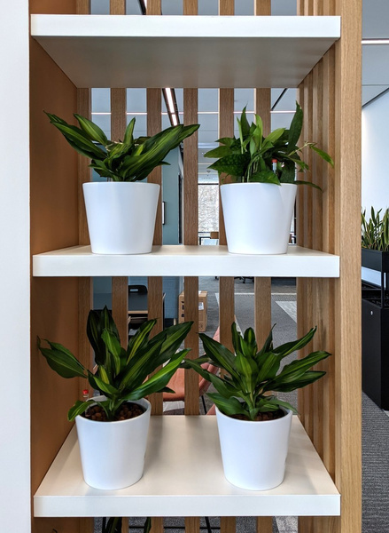 VASA 11/9 (MK9/7) osłonka ceramiczna kremowa matowa