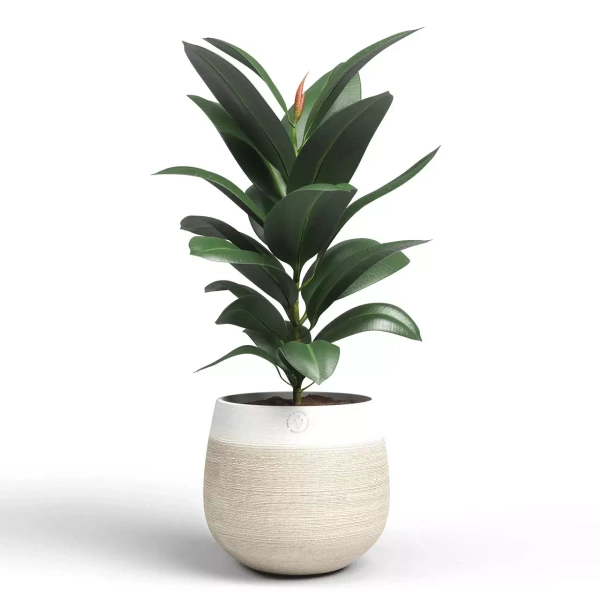 Antheia 19/17 dwukolorowa beżowa osłonka ceramiczna