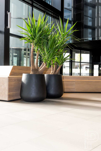 Pax XL 66/67 duża donica kamienna czarna