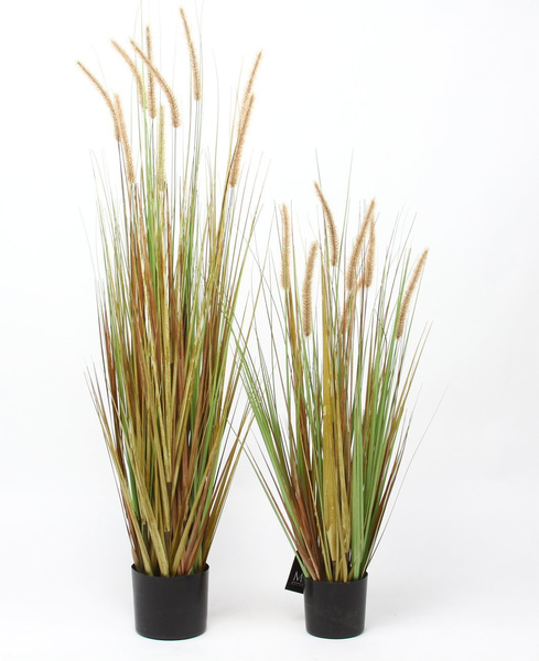 Sztuczna trawa wysoka Dogtail 120 cm z kłosami