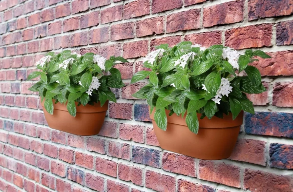 Vibia Wall Basket 35x16/15 doniczka naścienna terakota